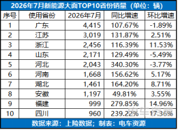 Provincial year-on-year growth in China's large-size new-energy van market