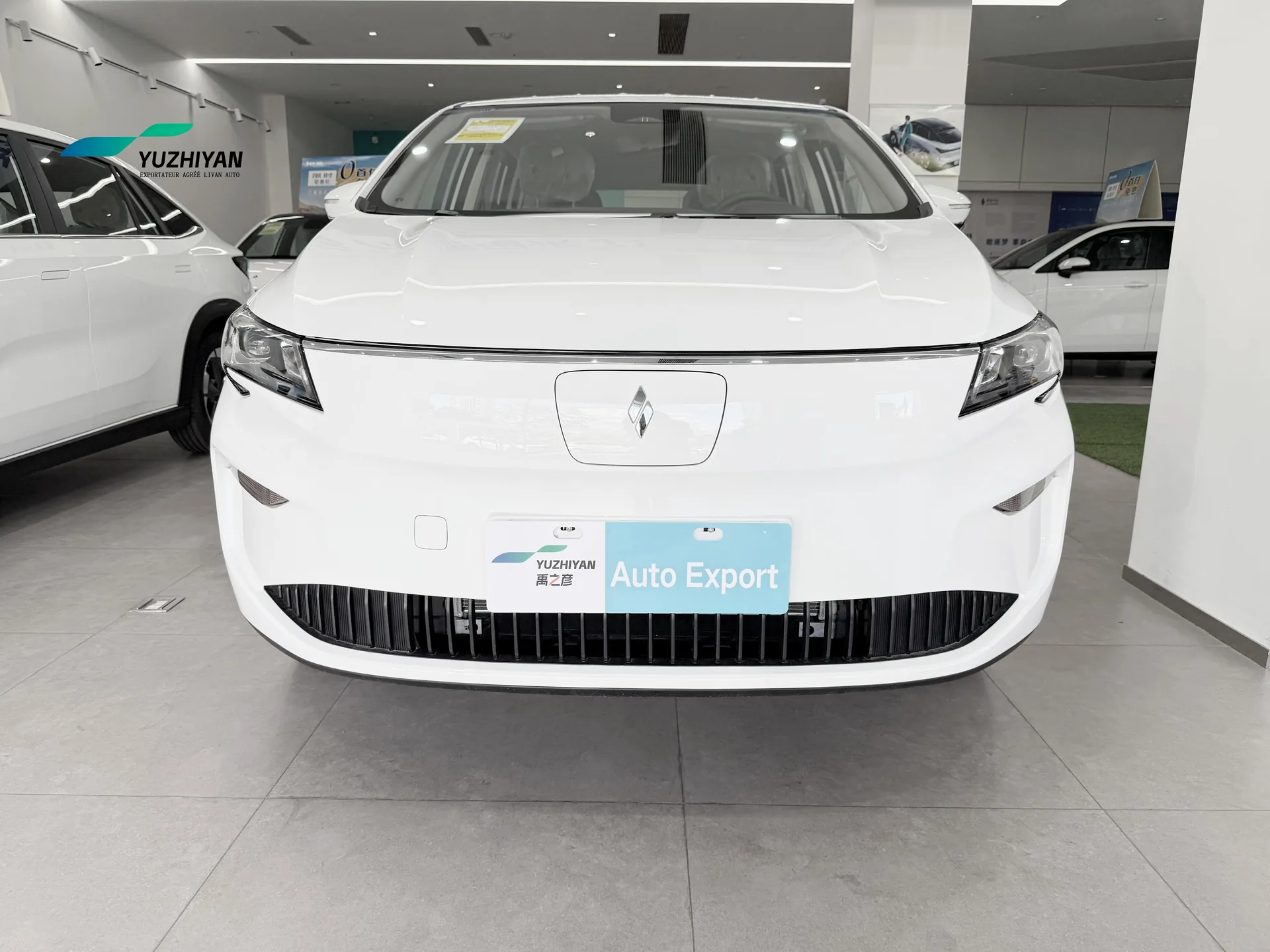 LIVAN 8 EV MPV