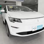 LIVAN 8 EV MPV
