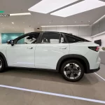 LIVAN 7 EV SUV
